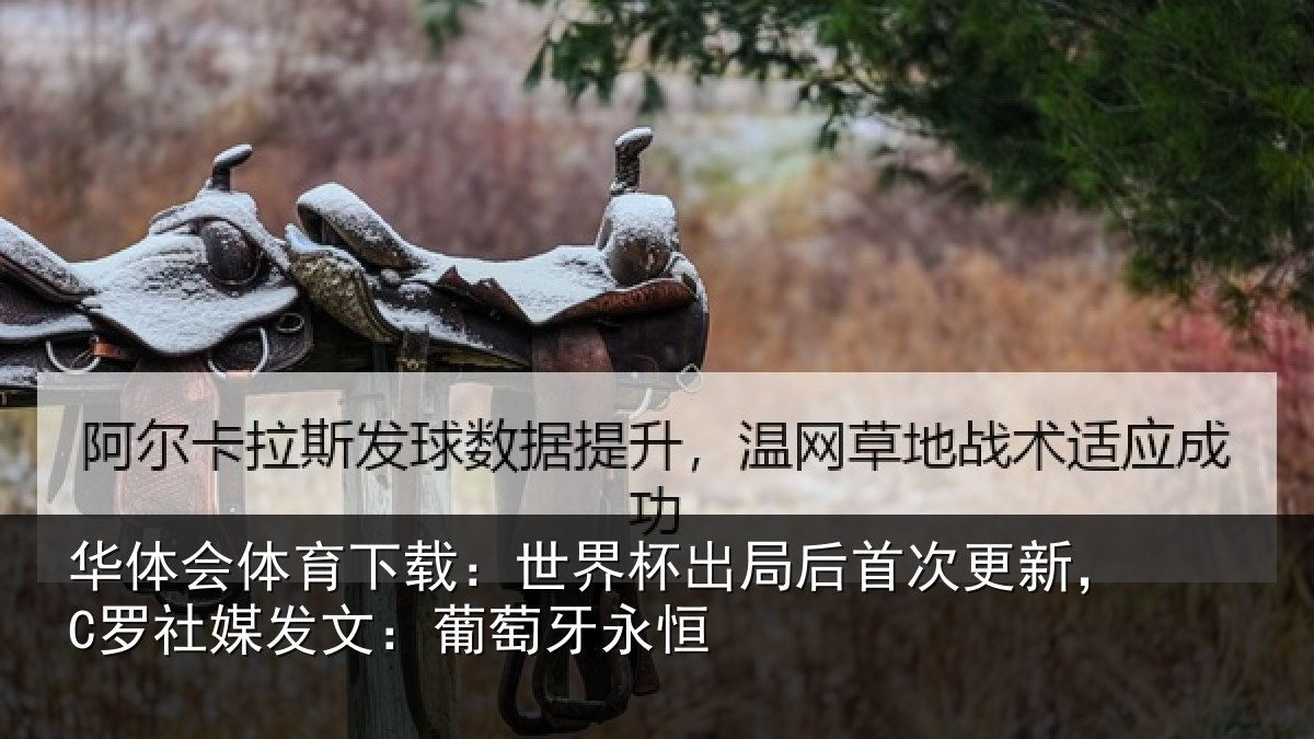 华体会体育下载：世界杯出局后首次更新，C罗社媒发文：葡萄牙永恒